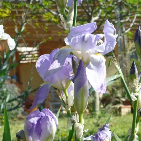 Strohballenhaus Valle Delle Rose * Barchi