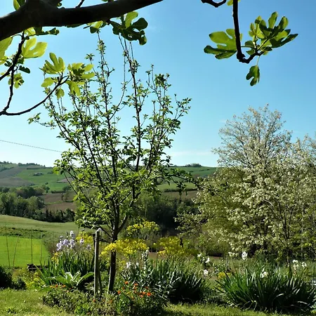 Strohballenhaus Valle Delle Rose *