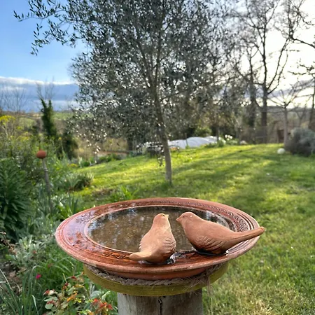 Strohballenhaus Valle Delle Rose Lägenhet Barchi